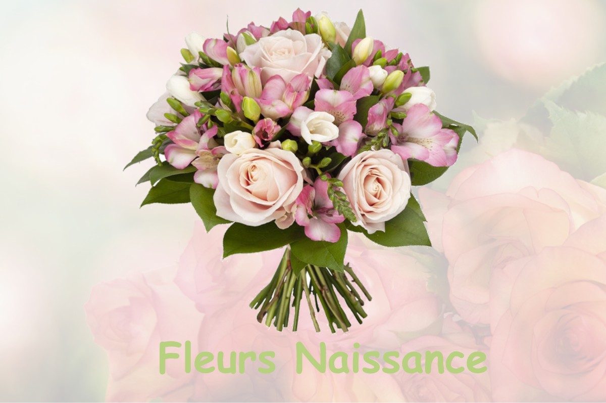 fleurs naissance TENDE