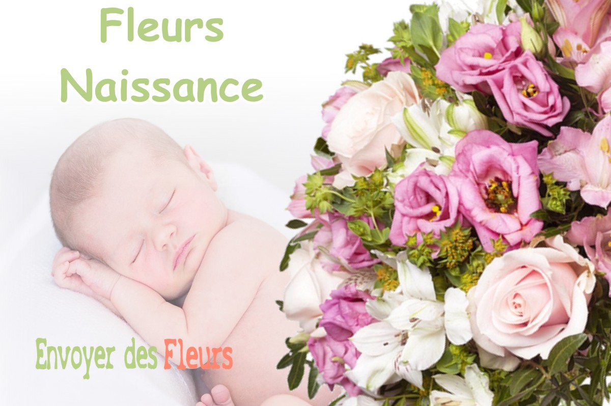 lIVRAISON FLEURS NAISSANCE à TENDE